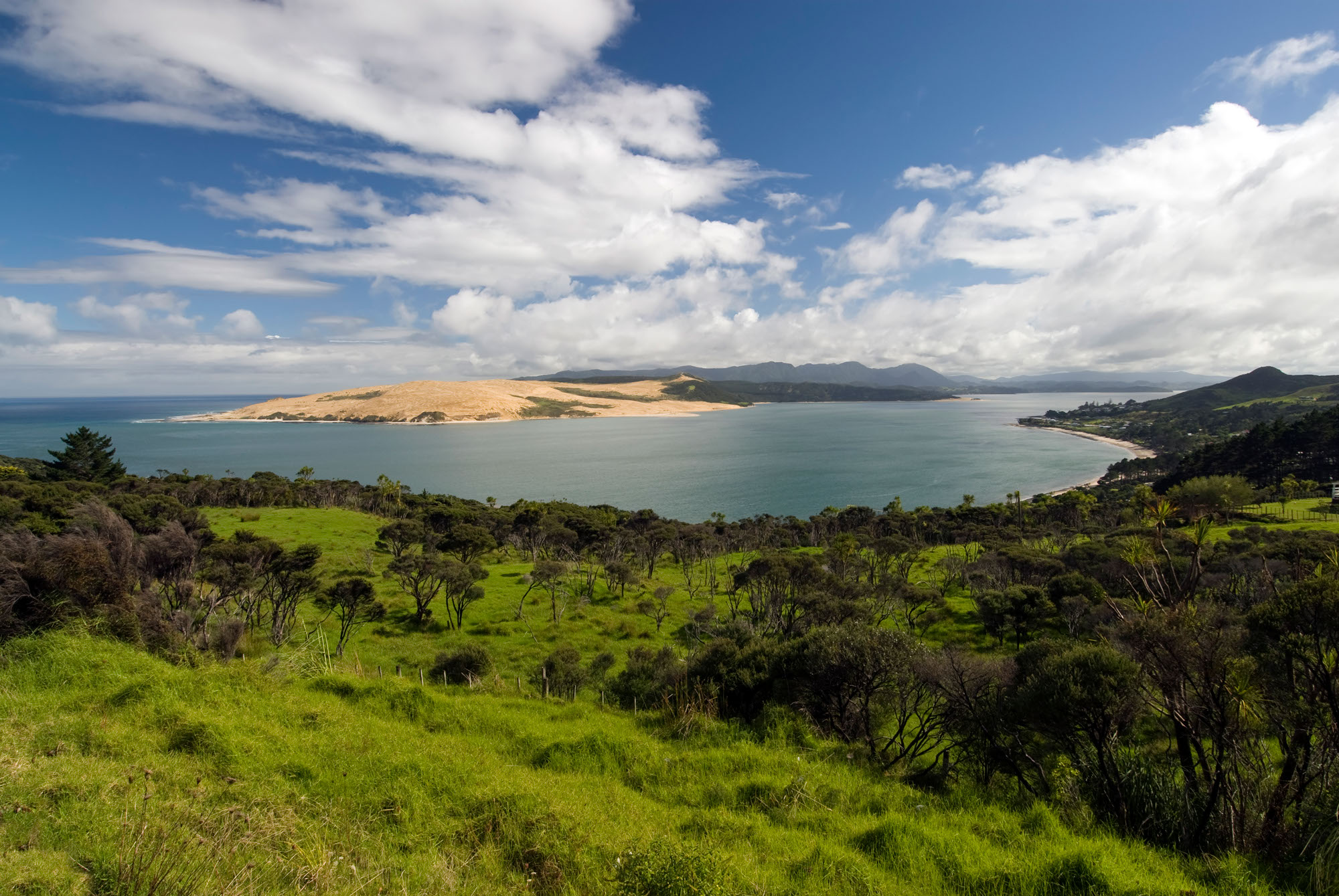 Top Tours New Zealand Limited